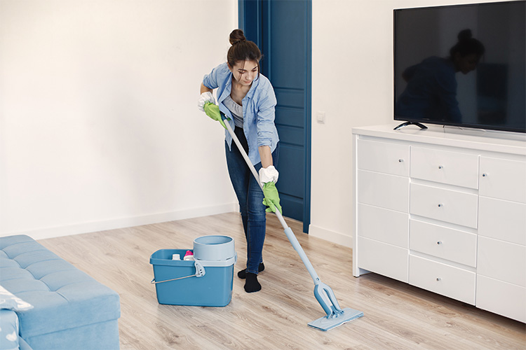 Windows Cleaning