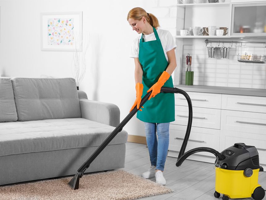 Equipment Cleaner