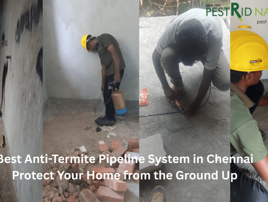 Best Anti-Termite Pipeline System in Chennai  Protect Your Home from the Ground Up
