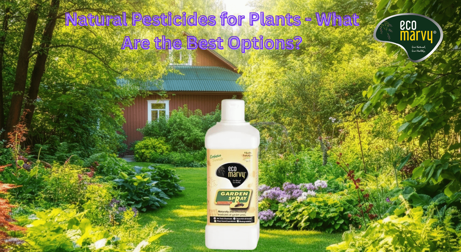 Natural Pesticides for Plants 